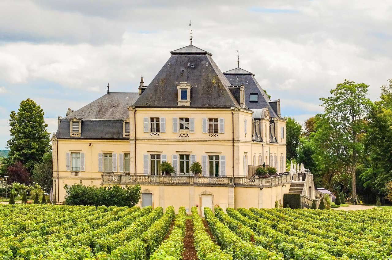 domaine-viticole